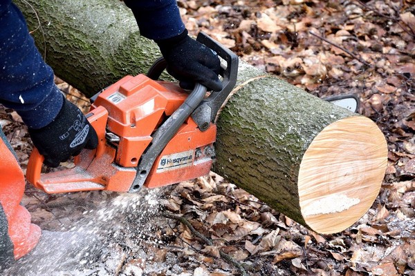 tronçonneuse et bille de bois