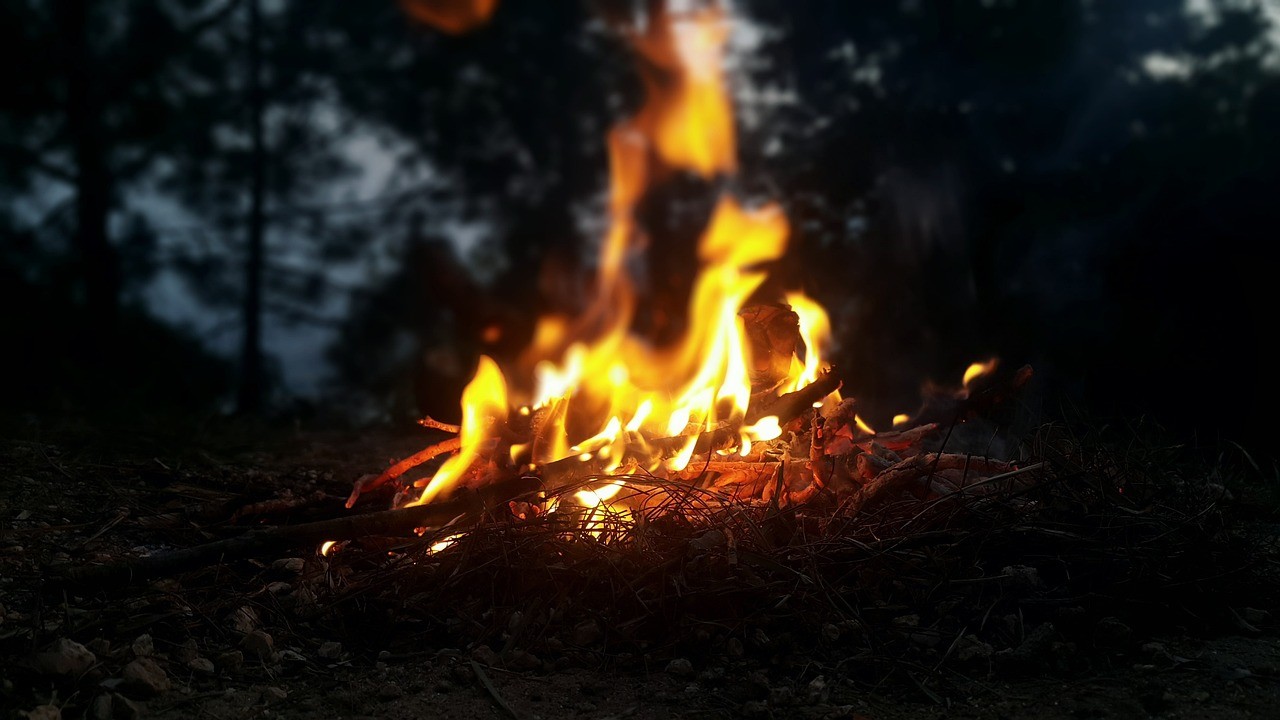 feu forêt