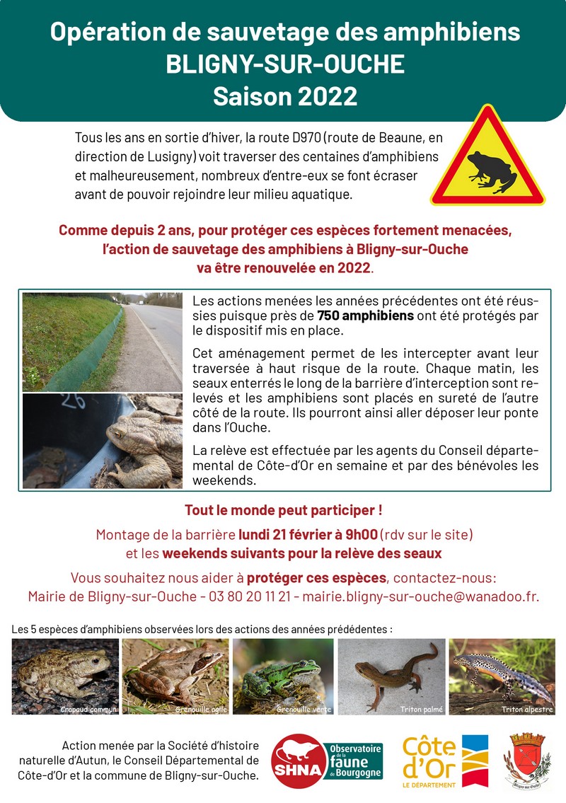 affiche explicative sur le sauvetage des amphibiens